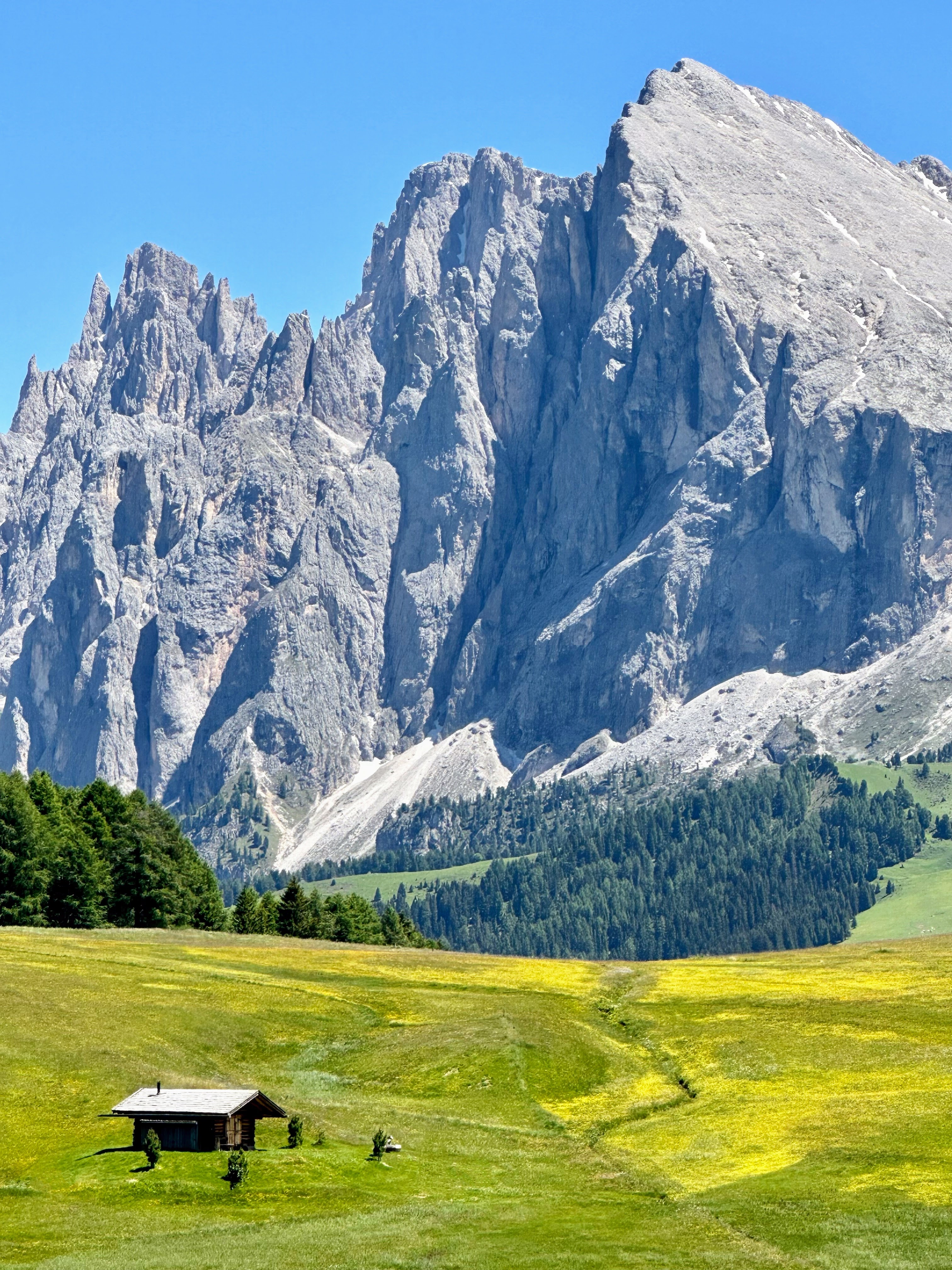 This shows one of the iconic views from the Alpe di Siusi hiking trail in the Italian Dolomites.